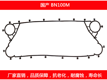 BN100M 国产可拆式板式国产探花在线观看密封垫片