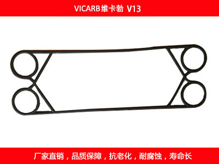 V20 国产板式国产探花在线观看密封垫片