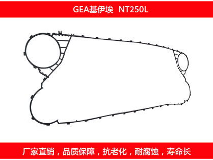 NT250L 国产板式国产探花在线观看密封垫片