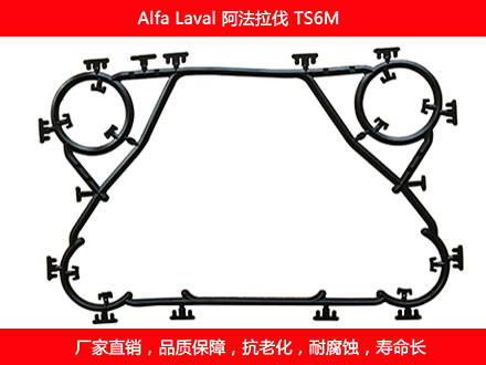 TS6M 国产板式国产探花在线观看密封垫片