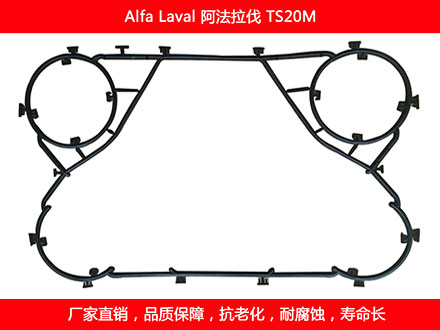 TS20M 国产板式国产探花在线观看密封垫片