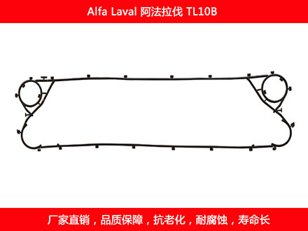 TL10P 国产板式国产探花在线观看密封垫片