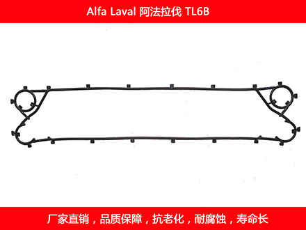 TL6B 国产板式国产探花在线观看密封垫片