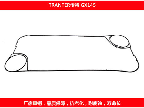 GX145 国产板式国产探花在线观看密封垫片