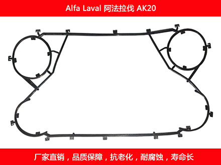 AK20 国产板式国产探花在线观看密封垫片